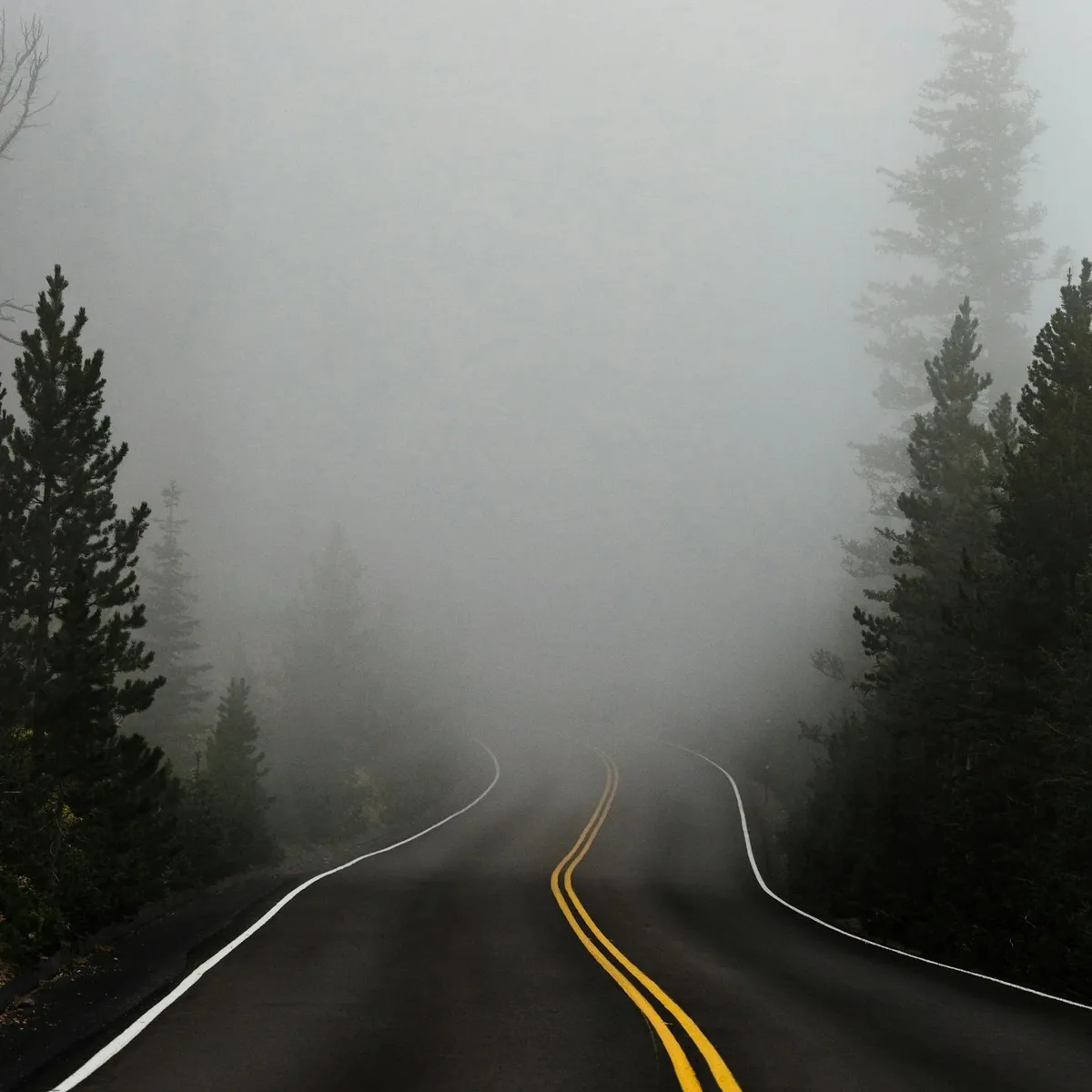 Carretera de montaña cubierta por una niebla densa